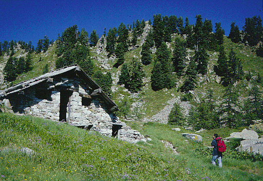 [On the way to Belvedere scenic point]